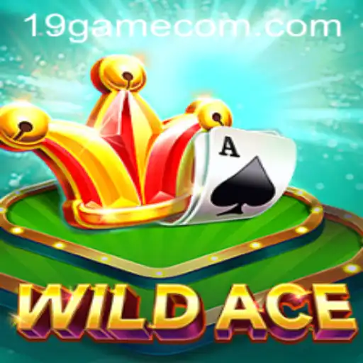 Discovering the Thrills of WildAce: A Guide to the Revolutionary 19game Experience